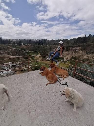 Fakali Homestay Quito Exterior foto